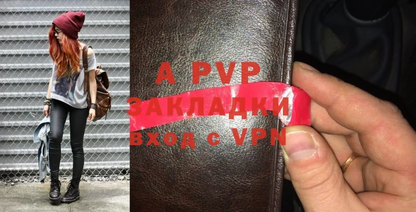 стаф Алзамай