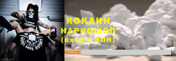 стаф Алзамай