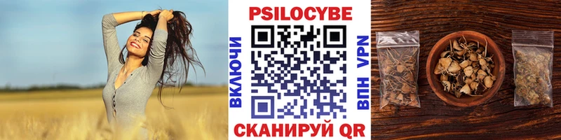Псилоцибиновые грибы Psilocybine cubensis  Ленинск-Кузнецкий 
