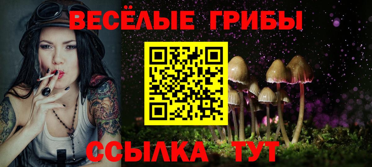 Псилоцибиновые грибы прущие грибы  Псилоцибиновые грибы MAGIC MUSHROOMS  Вход с VPN  Ленинск-Кузнецкий 