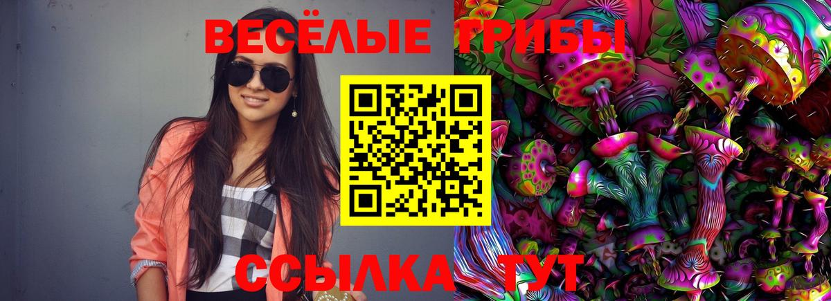 Галлюциногенные грибы Cubensis Ленинск-Кузнецкий